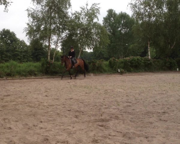 Video of A. Surminski