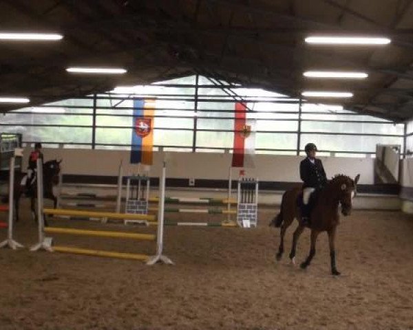 Reit-und Springturnier Dortmund West 2015