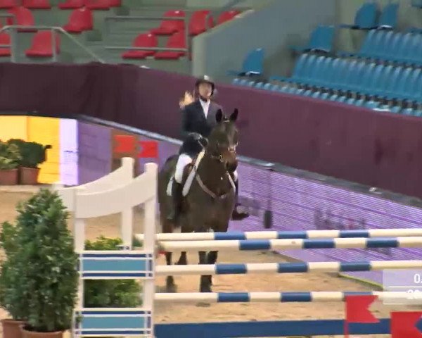 Video of C'Est Pippilotta