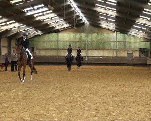 Reit-und Springturnier Dortmund West 2015