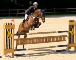 broodmare Coco Chanel 188 (Hanoverian, 2008, from Chacco-Blue)