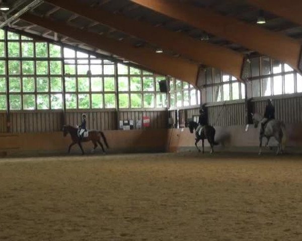 Sommerturnier Fröndenberg 2015