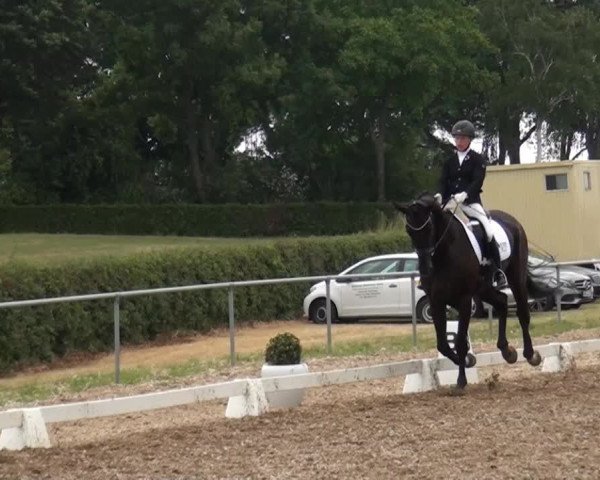 Sommerturnier RFV Heinsberg 2015