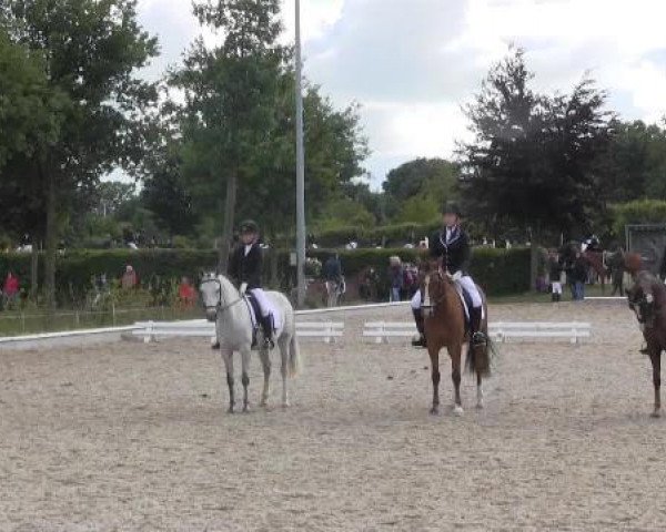 Sommerturnier Fröndenberg 2015