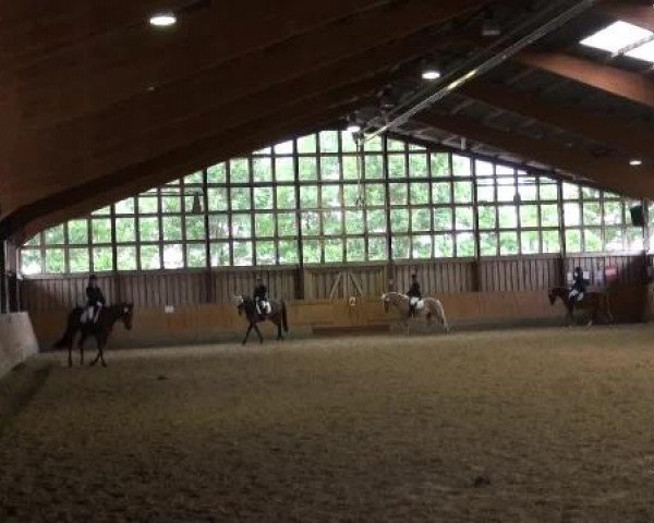 Sommerturnier Fröndenberg 2015