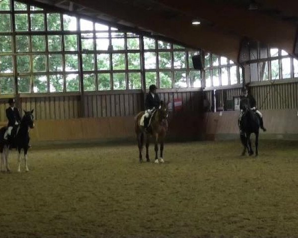 Sommerturnier Fröndenberg 2015