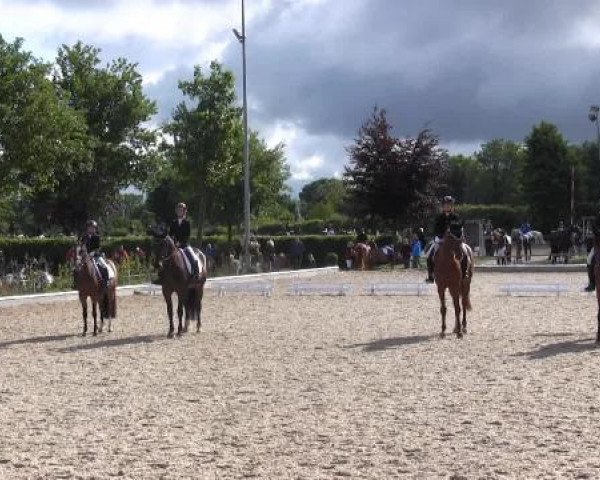 Sommerturnier Fröndenberg 2015