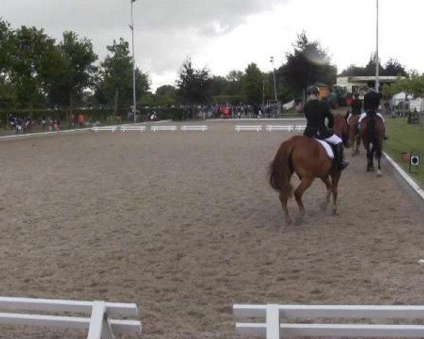 Sommerturnier Fröndenberg 2015