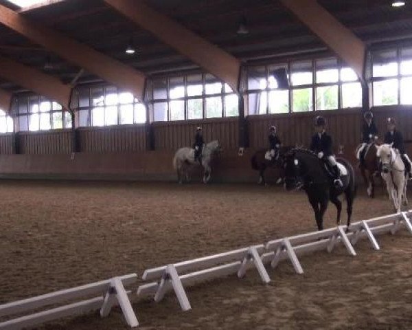 Sommerturnier Fröndenberg 2015