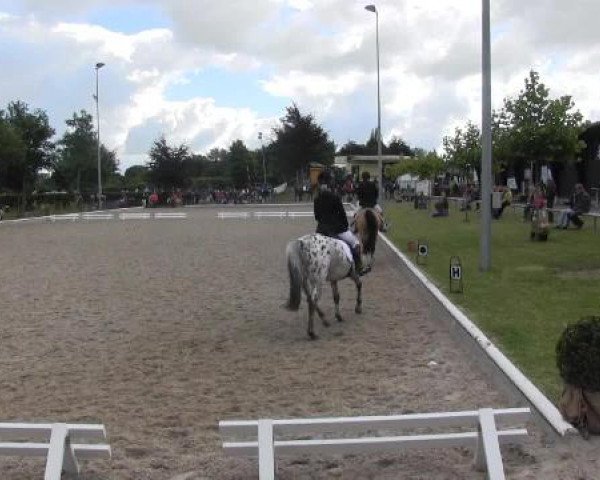 Sommerturnier Fröndenberg 2015