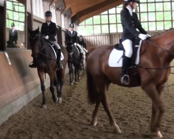 Sommerturnier Fröndenberg 2015