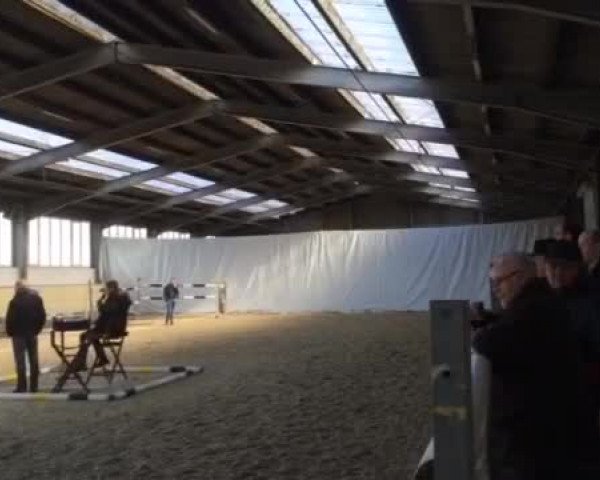 Video of Caprigold W