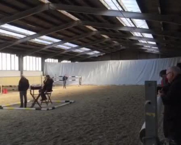 Video of Caprigold W