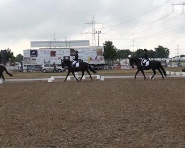 Sommerturnier RFV Heinsberg 2015