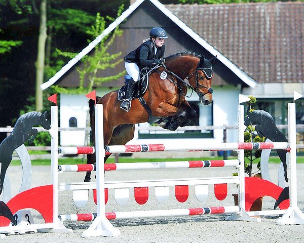 jumper Lui de Finess (Württemberger, 2008, from Lancerto)