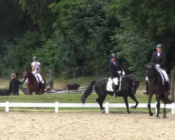 Coesfelder Reitertage 2015