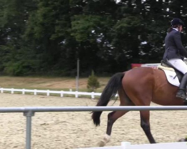 Coesfelder Reitertage 2015