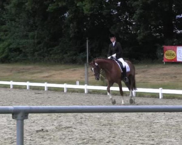 Coesfelder Reitertage 2015