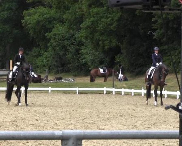 Coesfelder Reitertage 2015
