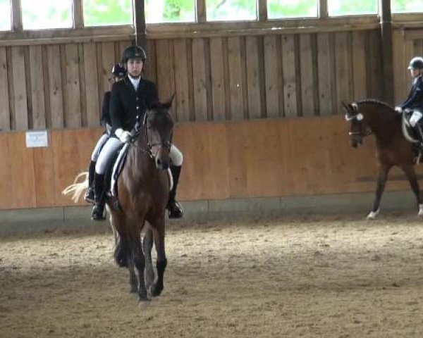 Sommerturnier Fröndenberg 2015