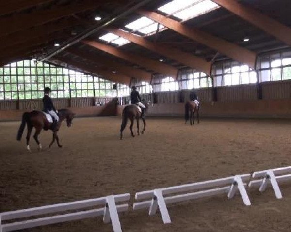 Sommerturnier Fröndenberg 2015