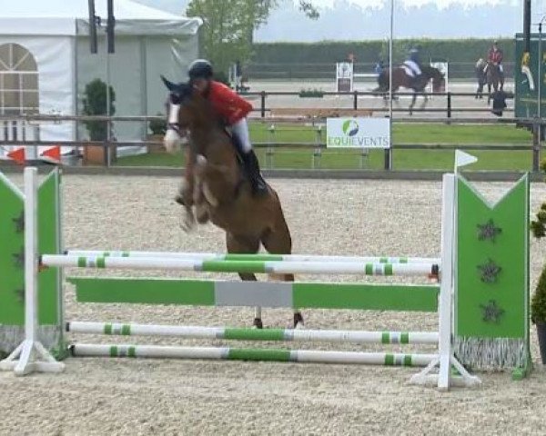 jumper Con Leche 3 (Hanoverian, 2009, from Carrico)