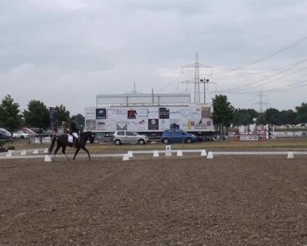 Sommerturnier RFV Heinsberg 2015