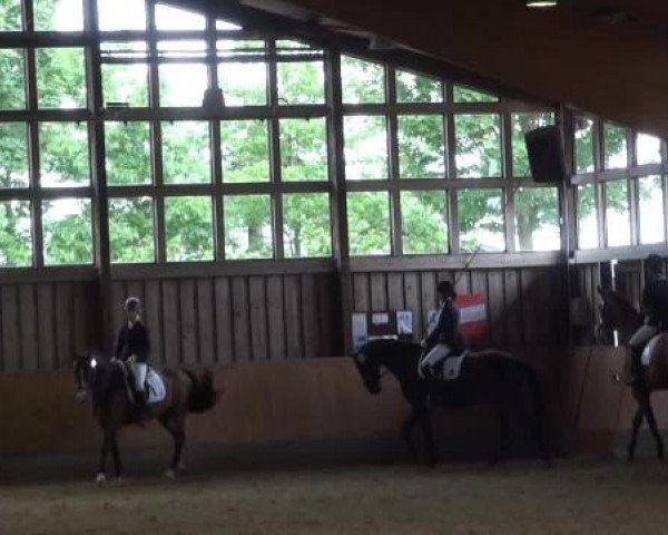 Sommerturnier Fröndenberg 2015