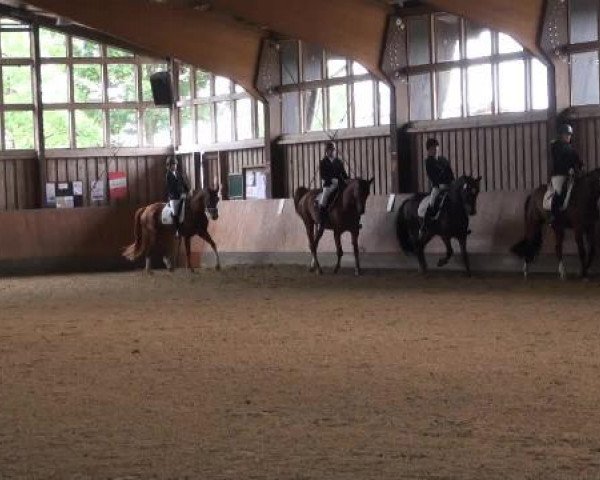 Sommerturnier Fröndenberg 2015