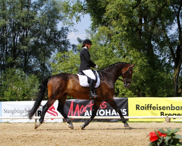 dressage horse Woody Allen (Hanoverian,  , from Weltregent H)