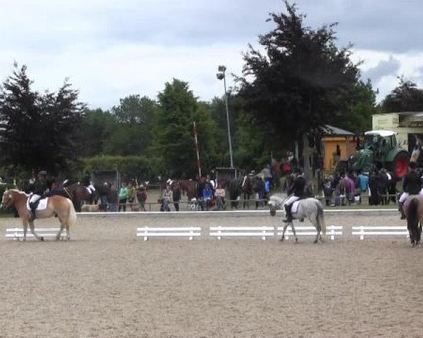 Sommerturnier Fröndenberg 2015