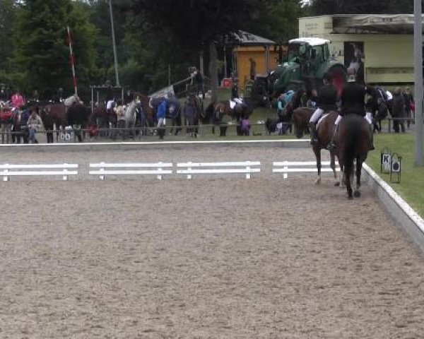 Sommerturnier Fröndenberg 2015