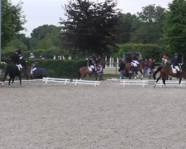 Sommerturnier Fröndenberg 2015