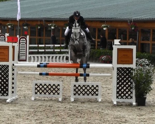 broodmare Cenja 3 (Rhinelander, 2008, from Cassini Boy Junior)