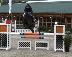 broodmare La Corunja 6 (Oldenburg, 2008, from Lord Pezi)