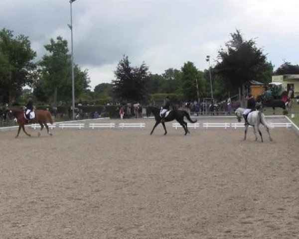 Sommerturnier Fröndenberg 2015