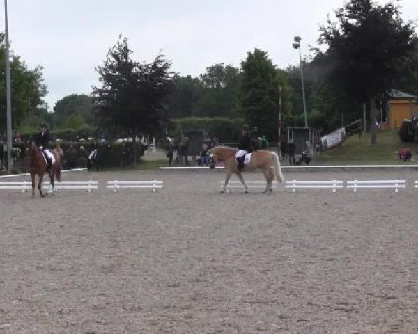 Sommerturnier Fröndenberg 2015