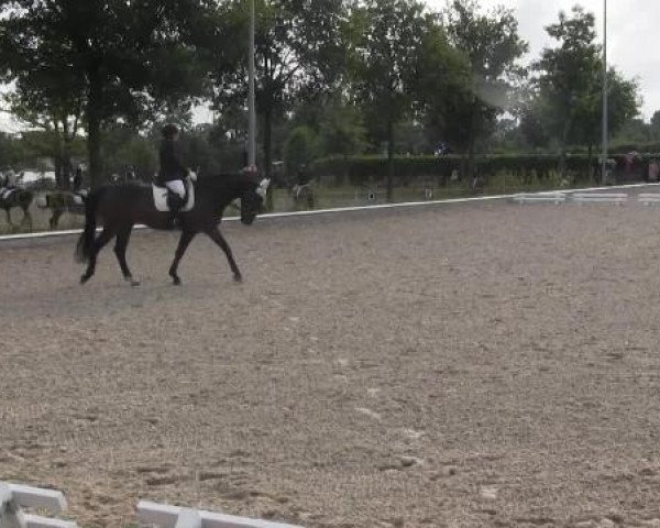 Sommerturnier Fröndenberg 2015