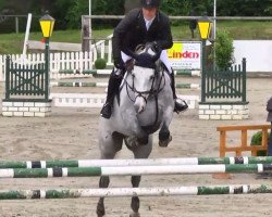 Springpferd Candino 11 (Holsteiner, 2008, von Cardino)
