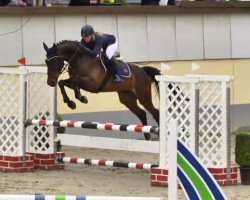 jumper Evolution Love (KWPN (Royal Dutch Sporthorse), 2009, from van Gogh)