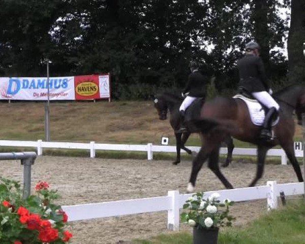 Coesfelder Reitertage 2015
