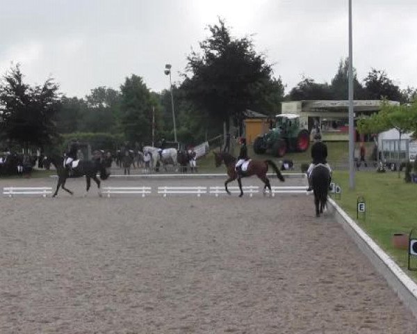 Sommerturnier Fröndenberg 2015
