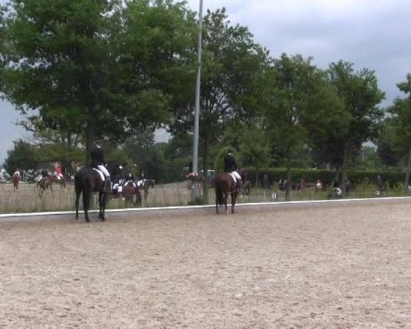 Sommerturnier Fröndenberg 2015 19.06.2015
23 
