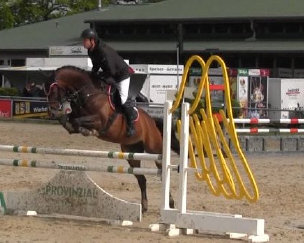 jumper fischerChelsea (Westphalian, 2008, from Check In 2)