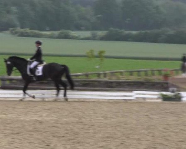Ponyturnier Billerbeck 2015