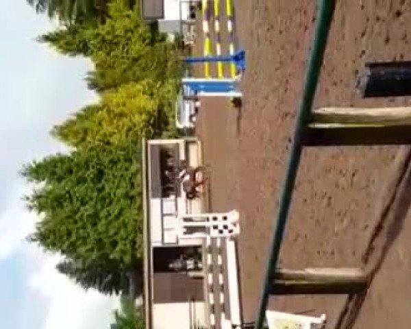 Video of Minerva For Play