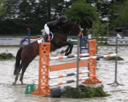 broodmare Arielle 316 (Oldenburg show jumper, 2002, from Adlantus As FRH)