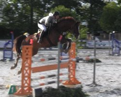 Springpferd Lissabon 52 (Westfale, 2006, von Lissabon 29)