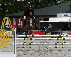 jumper El Paso 188 (Hanoverian, 2006, from Escudo I)