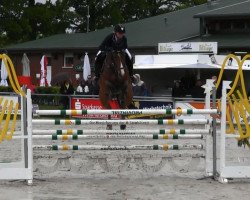 jumper Cecil 13 (Oldenburg show jumper, 2006, from Celano)